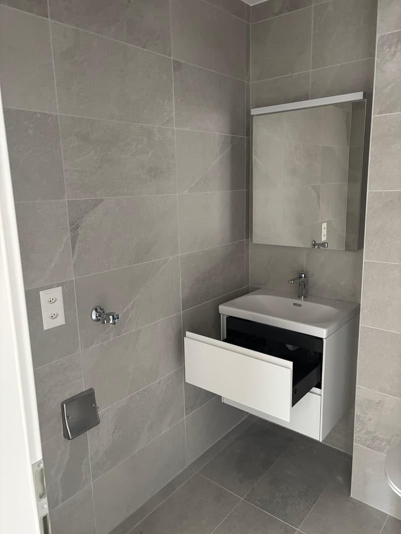 SUPERBES UND GERÄUMIGE 2.5-ZIMMER-WOHNUNG NEU - IDEALE LAGE IN ARDON / MALOC-IMMO (11)
