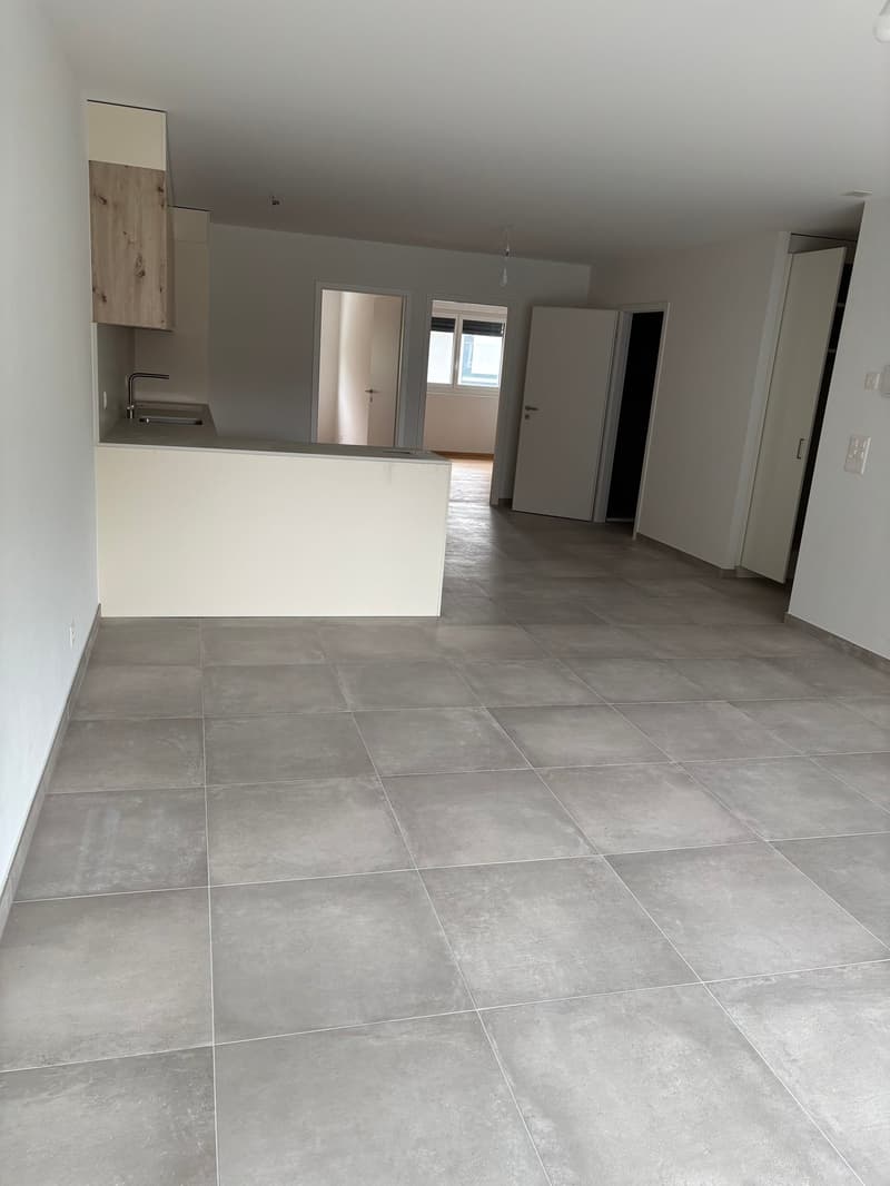 PLUS QU'UN SEUL APPARTEMENT 3.5P NEUF! - SITUATION IDÉALE À ARDON / MALOC-IMMO (6)