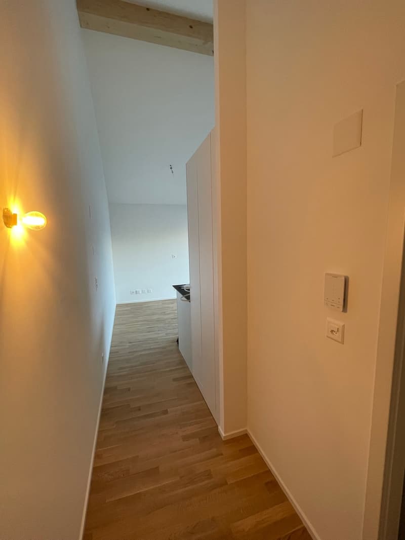 Moderne, helles Studio mit Innenparkplatz / MALOC-IMMO (7)