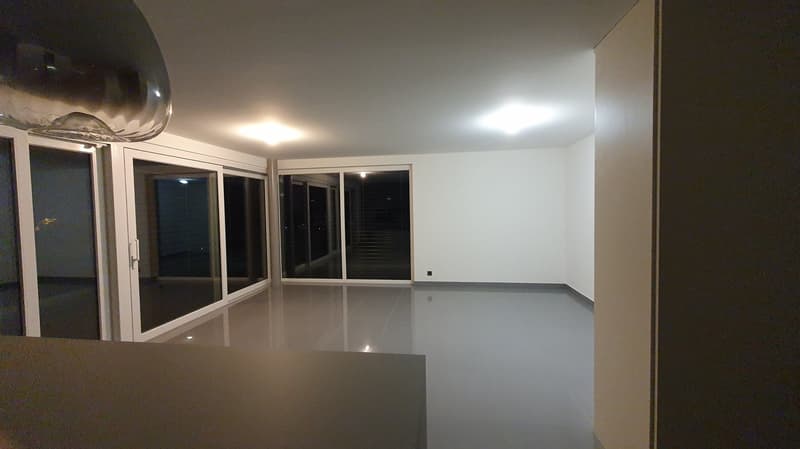 Spacieux appartement de 5.5 pièces avec vue panoramique – Turin (Salins) (7)