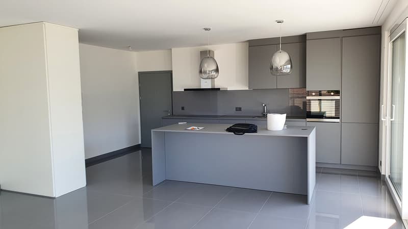 Spacieux appartement de 5.5 pièces avec vue panoramique – Turin (Salins) (4)