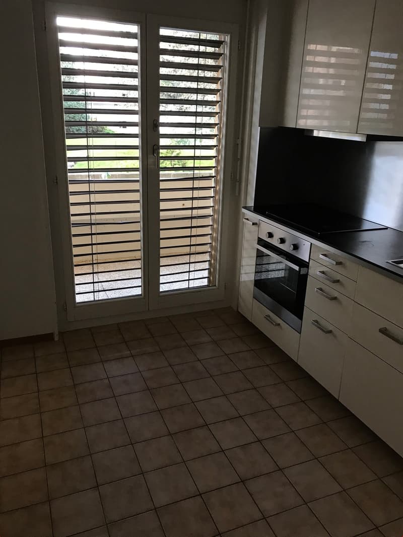 SPACIEUX 4.5P AVEC TERRASSE IDEALEMENT SITUE A CH-CONTHEY / MALOC-IMMO (7)