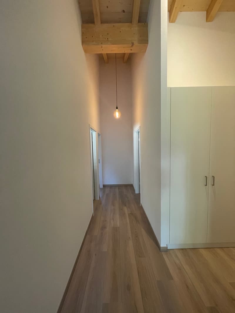 SUPERBE 3.5P NEUF AVEC BALCON ET PARC INTERIEUR COMPRIS- SITUATION IDÉALE À ARDON (12)