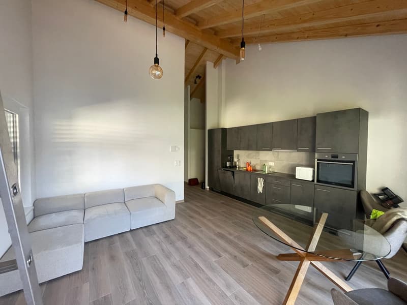 SUPERBE 3.5P NEUF AVEC BALCON ET PARC INTERIEUR COMPRIS- SITUATION IDÉALE À ARDON (7)