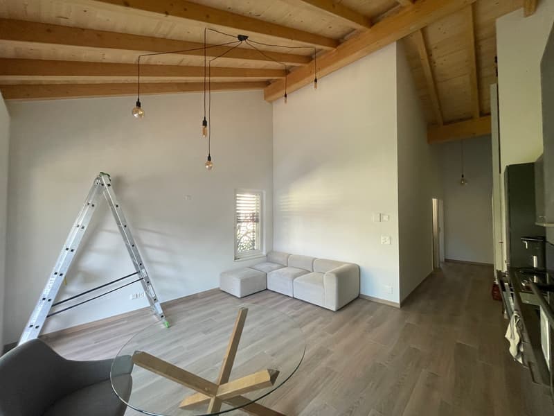 SUPERBE 3.5P NEUF AVEC BALCON ET PARC INTERIEUR COMPRIS- SITUATION IDÉALE À ARDON (8)