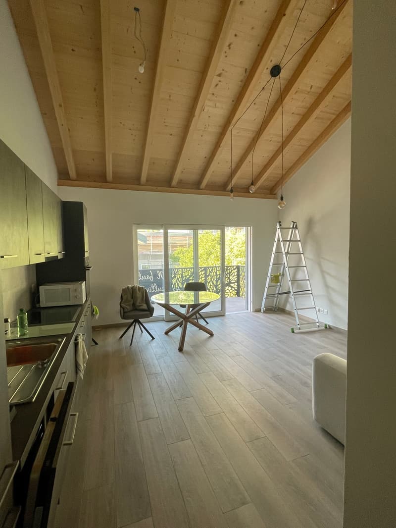 SUPERBE 3.5P NEUF AVEC BALCON ET PARC INTERIEUR COMPRIS- SITUATION IDÉALE À ARDON (4)