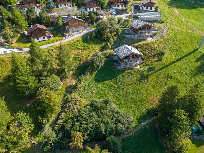Chalet buildings with multiple floors, stone walls, wooden exteriors, surrounded by greenery, driveways, and open fields