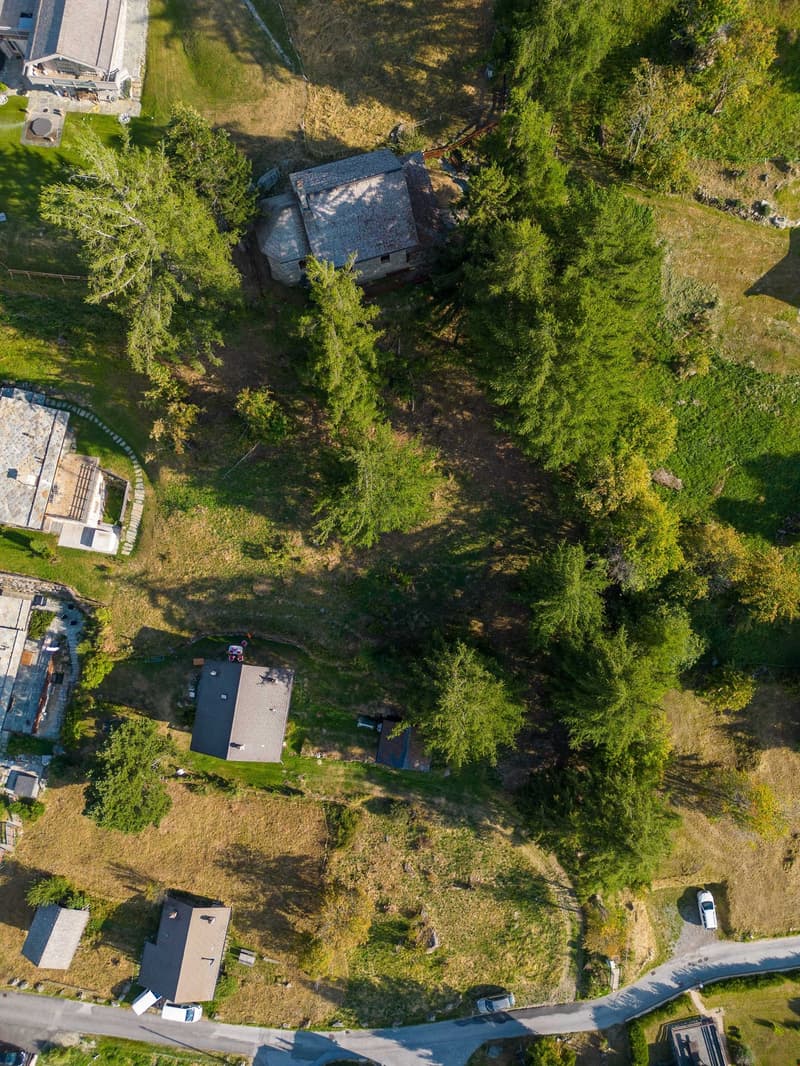 Aerial view of a mountain village, multiple houses, trees, and open fields.