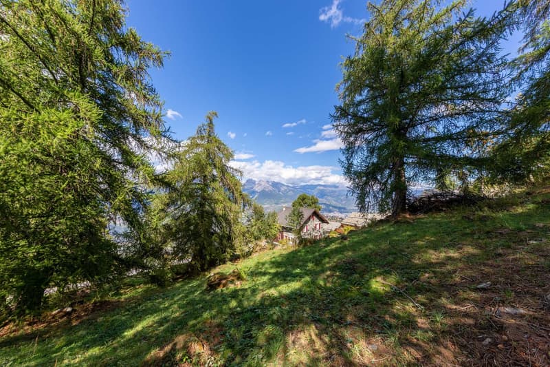 Hill with lush greenery, house at the bottom, mountain range in the background