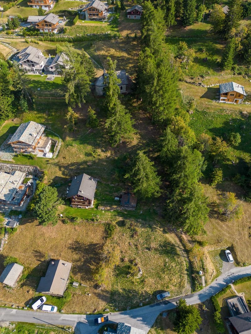 Large property, several chalets, green area, several parked cars, large driveway, surrounded by trees