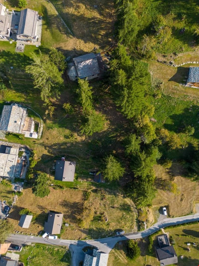 Aerial view of several buildings with surrounding greenery and pathways