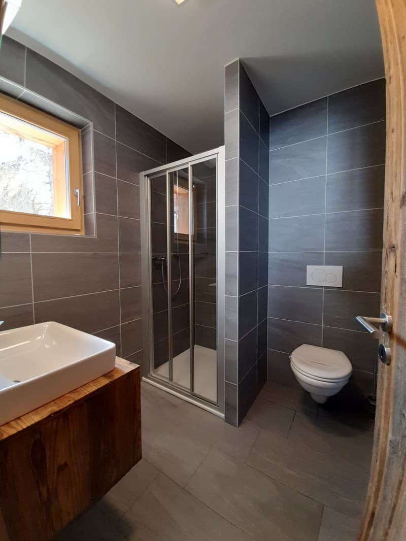 Bathroom: Tiled floor, shower, toilet, sink, window
