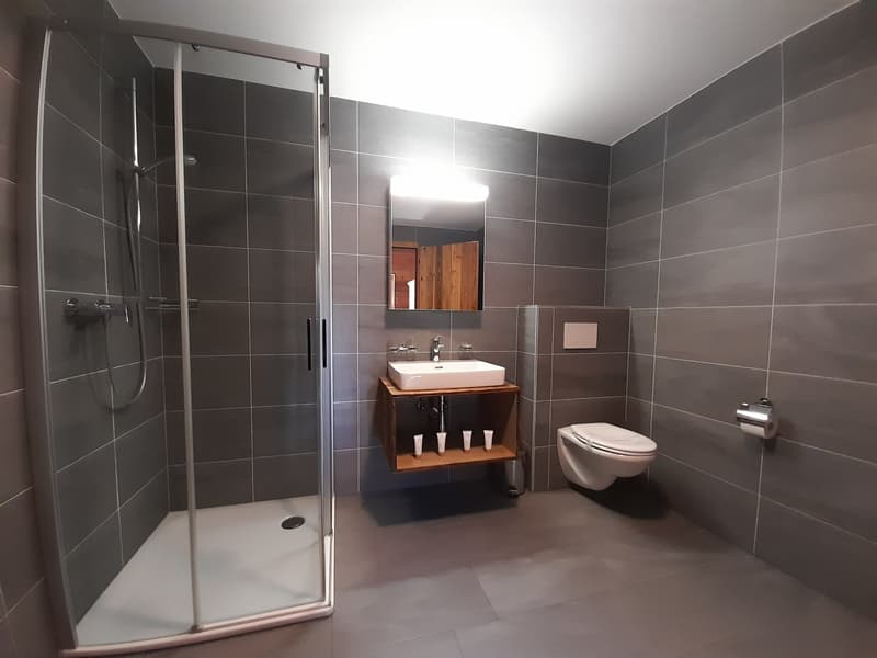 modern bathroom, glass shower enclosure, wooden shelf with sink, modern toilet, mirror with lighting