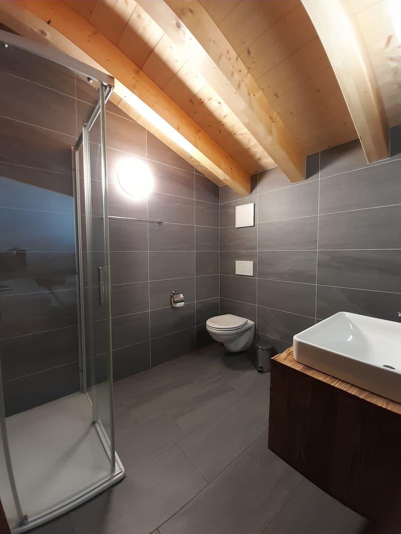 Small bathroom, shower, toilet, sink, light fixture