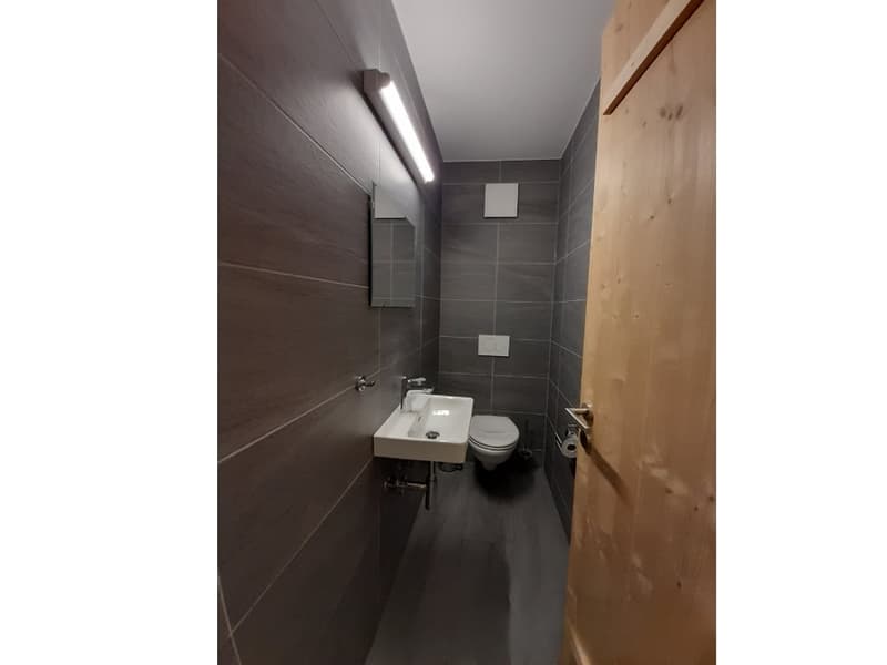 Compact bathroom with a toilet, sink, and mirror. Gray tiled walls, wooden door.