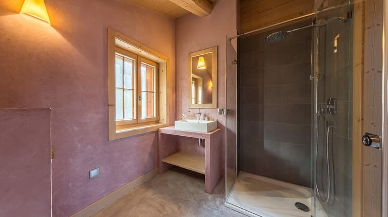 Luxurious Alpine Refuge on the Slopes of the 4 Vallées (14)
