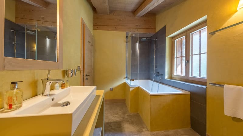 Luxurious Alpine Refuge on the Slopes of the 4 Vallées (15)