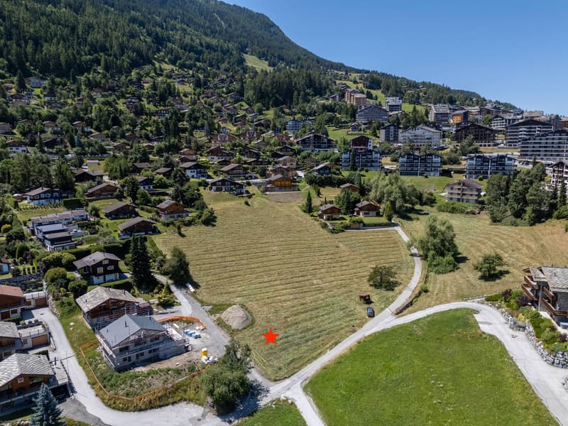 Terreno edificabile magnifico con vista panoramica sulle montagne a Nendaz (6)