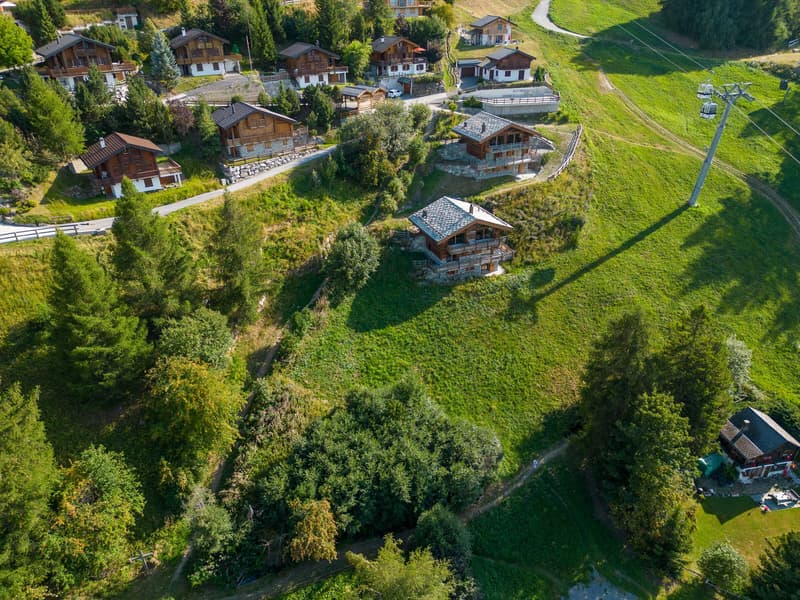 DJI_0010