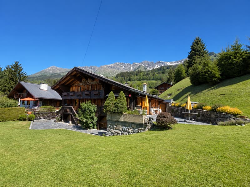 Genau die Art von Chalet, die man sich vorstellt, wenn man von der Schweiz träumt. (43)
