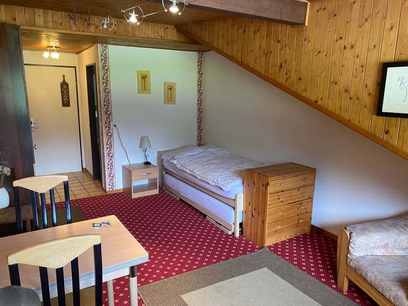 Immeuble résidentiel et commercial à vendre – Les Diablerets (3)