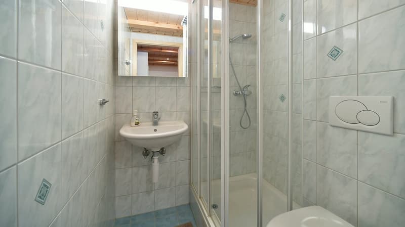 WEEKLY RENTAL - HAMEAU DE LA GARE A07 - LES DIABLERETS (7)