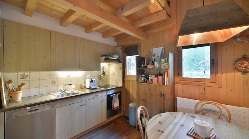 WEEKLY RENTAL - AT ANOUK'S - LES DIABLERETS (5)