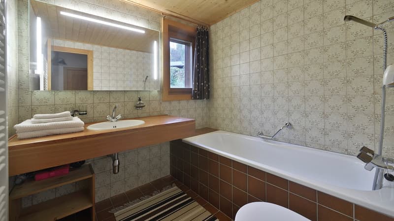 WEEKLY RENTAL - AT ANOUK'S - LES DIABLERETS (9)