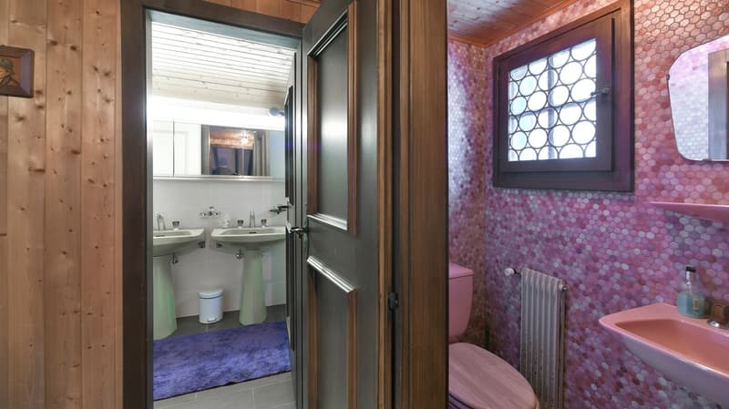 double sink, toilet, radiator, pink tile, wooden wall, blue rug