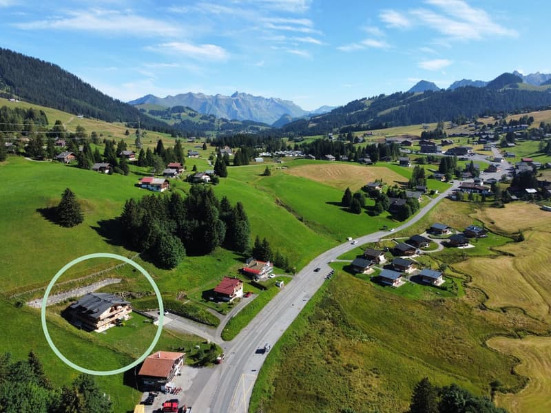 Apartment 3.5 Rooms - For Sale - Rés. Les Flocons - Aux Mosses (8)