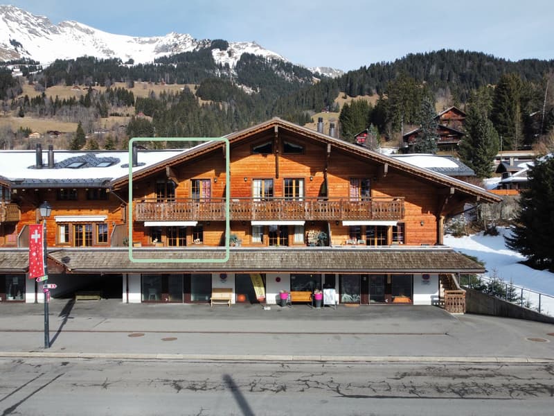 A vendre, Appartement duplex de standing au centre du villages des Diablerets! (13)