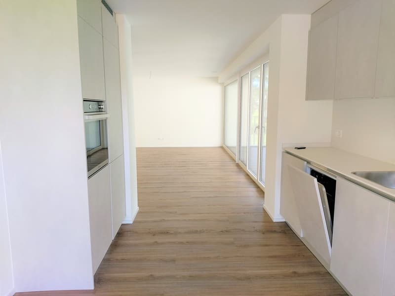 3 1/2 Zimmerwohnung (4)