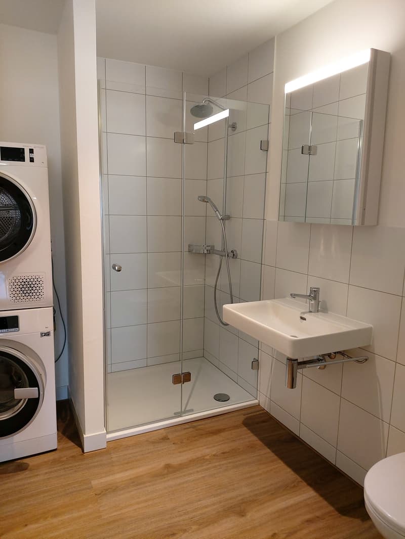 3 1/2 Zimmerwohnung (5)