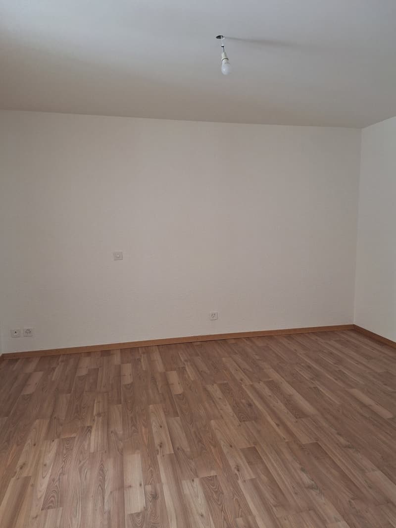 Appartement de 2 pièces avec balcon à Martigny – Disponible immédiatement (6)