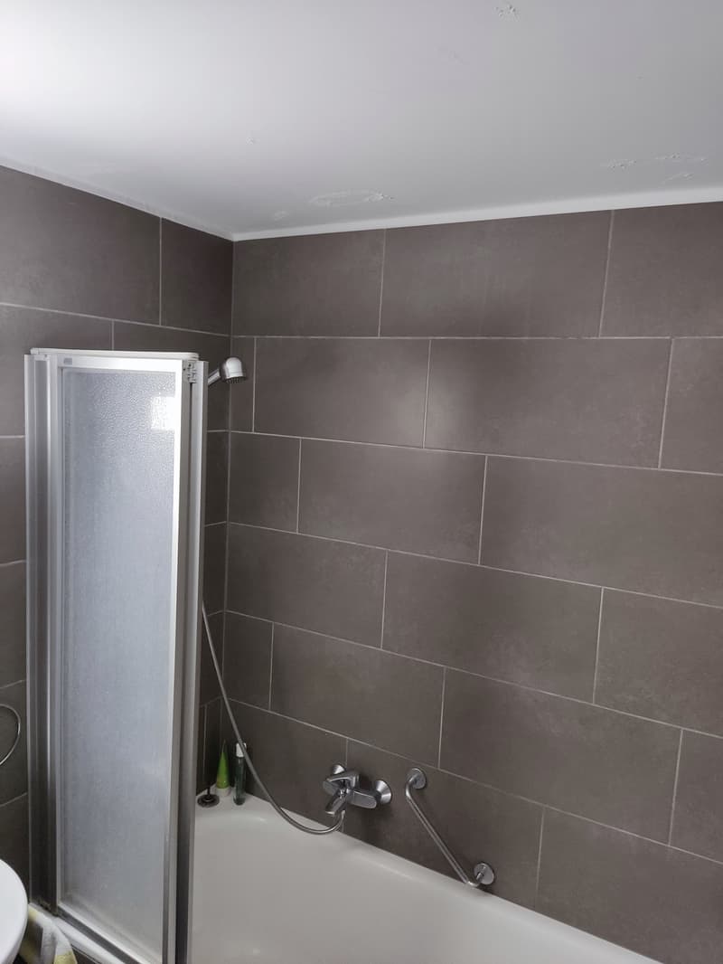 Wunderschöne 3.5 Zi-Wohnung im Erdgeschoss in Visp West (R-C5) (6)