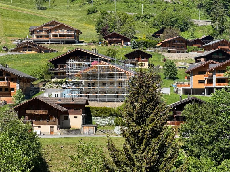 Magnifique appartement de 6,5 pièces dans un chalet à Val-d'Illiez (1)
