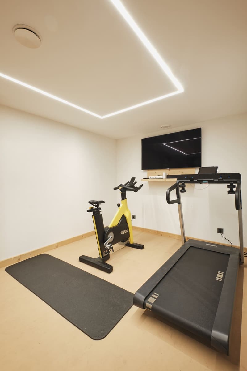 A gym room contains a treadmill, a spinning bike, a shelf with a TV, and a laptop on the treadmill. The floor has a carpet.