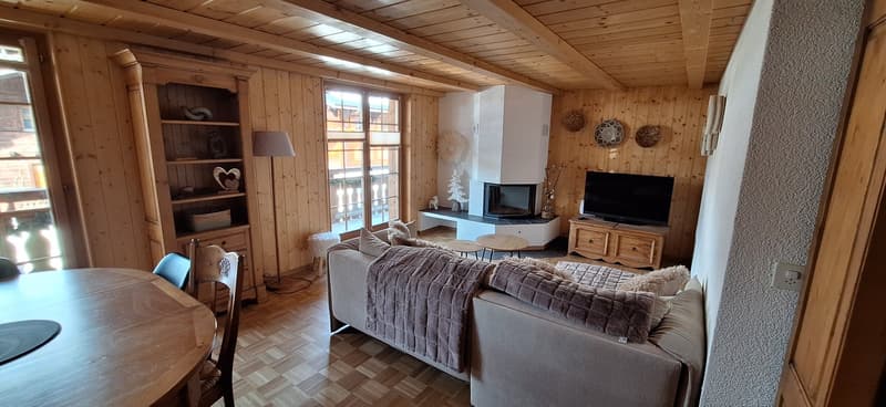 Cozy living room with wooden walls and ceiling, large windows, fireplace, TV stand, and comfortable sofa with a plush blanket