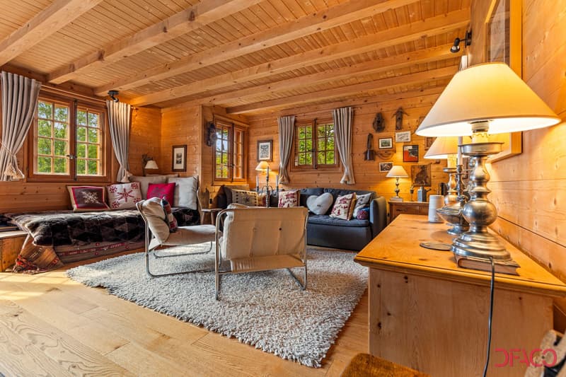 Chalet "Michachou" - Location à la semaine (4)