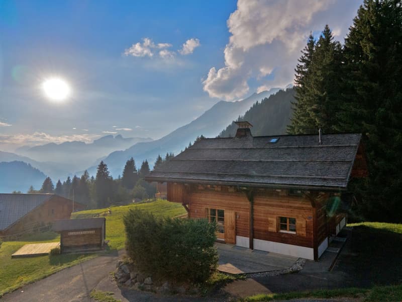 Wooden chalet-style house with a sloped roof, surrounded by pine trees and mountains in the background. The house has a balcony or terrace visible.