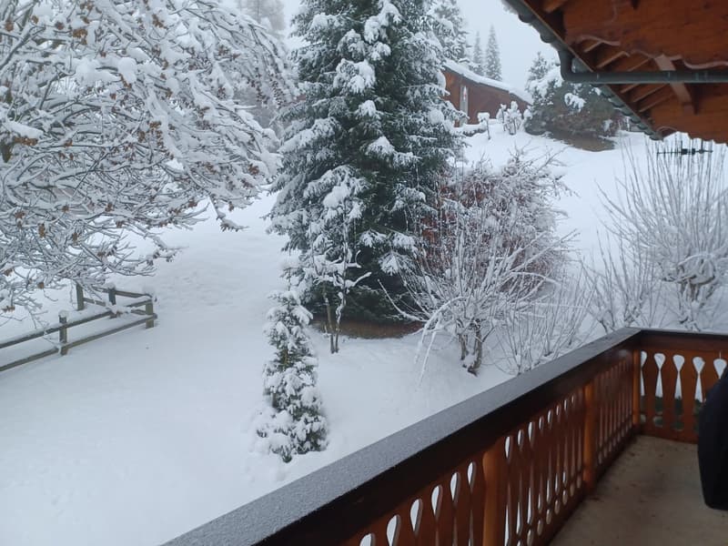 Snow-covered landscape with a wooden cabin or building in the background, surrounded by snow-covered trees and a wooden fence or railing in the foreground.