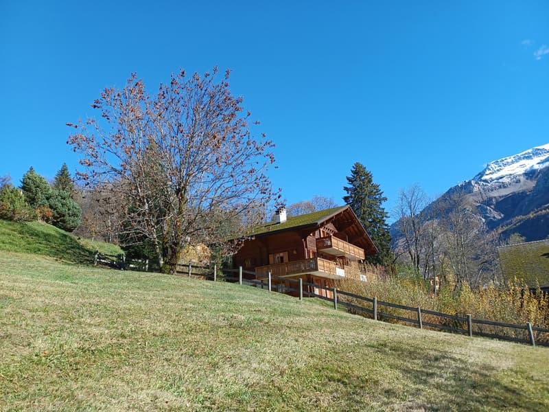 Wooden chalet-style house with a balcony, surrounded by a grassy field, trees, and mountains in the background.