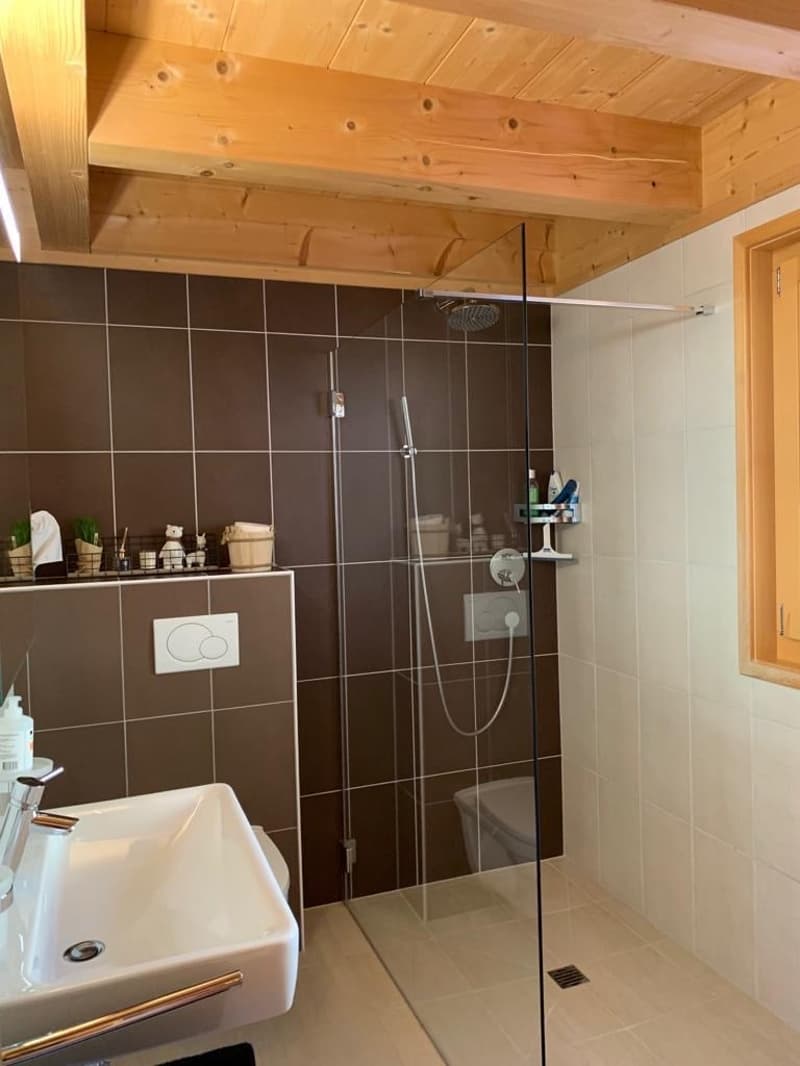 Bathroom with wooden ceiling, brown tile walls, glass shower enclosure, sink, and shelving for toiletries.