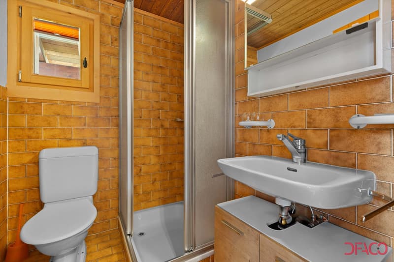 Affitto Settimanale - CHALET Les Bartavelles (10)