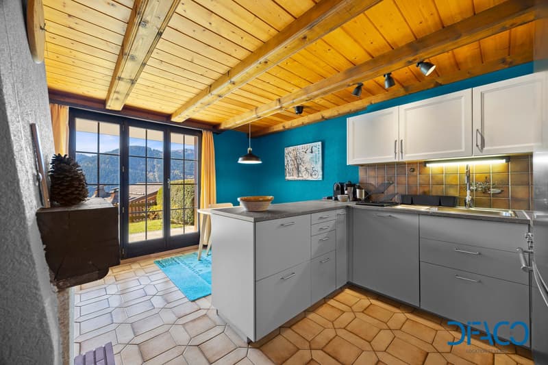 modern kitchen with white cabinets, granite countertop, stainless steel appliances, modern pendant lighting, blue walls, hexagon floor tiles, glass doors with view to the outside