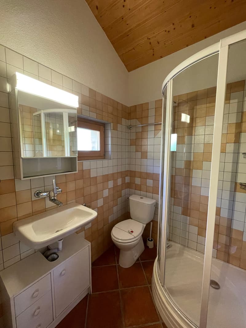 Appartement Isenaugood - Location à la semaine (10)