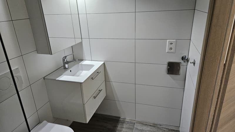Studio moderno a Mont-Vully, disponibile immediatamente (4)