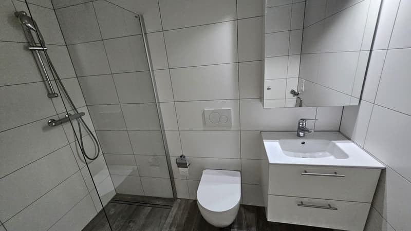 Studio moderno a Mont-Vully, disponibile immediatamente (5)