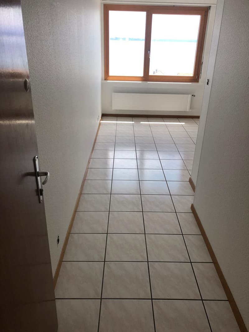 Charmant studio de 1.5 pièces avec vue lac à Neuchâtel (1)