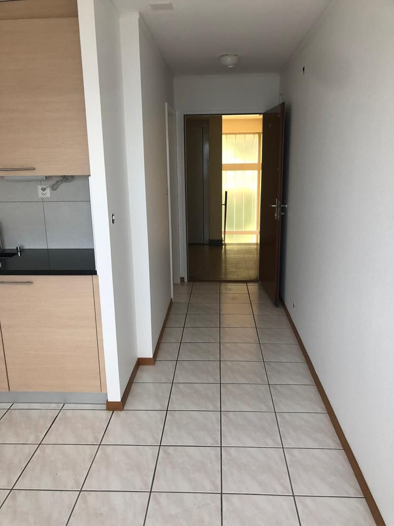 Charmant studio de 1.5 pièces avec vue lac à Neuchâtel (3)